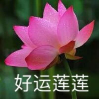 香港理工大学颁发首届“赵元任语言科学奖”终身成就奖
